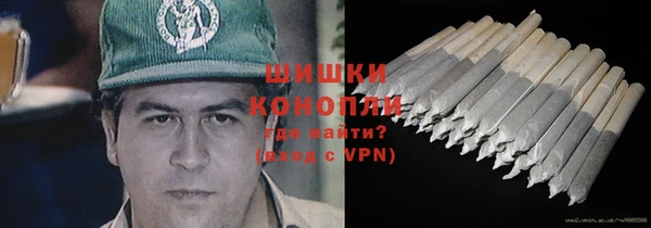 ПСИЛОЦИБИНОВЫЕ ГРИБЫ Касимов