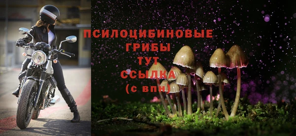 соль курить ск Карталы
