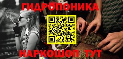 стафф Коммунар