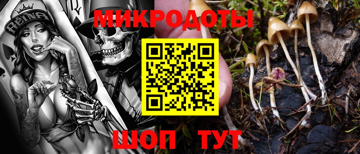 Псилоцибиновые грибы Psilocybine cubensis Реж