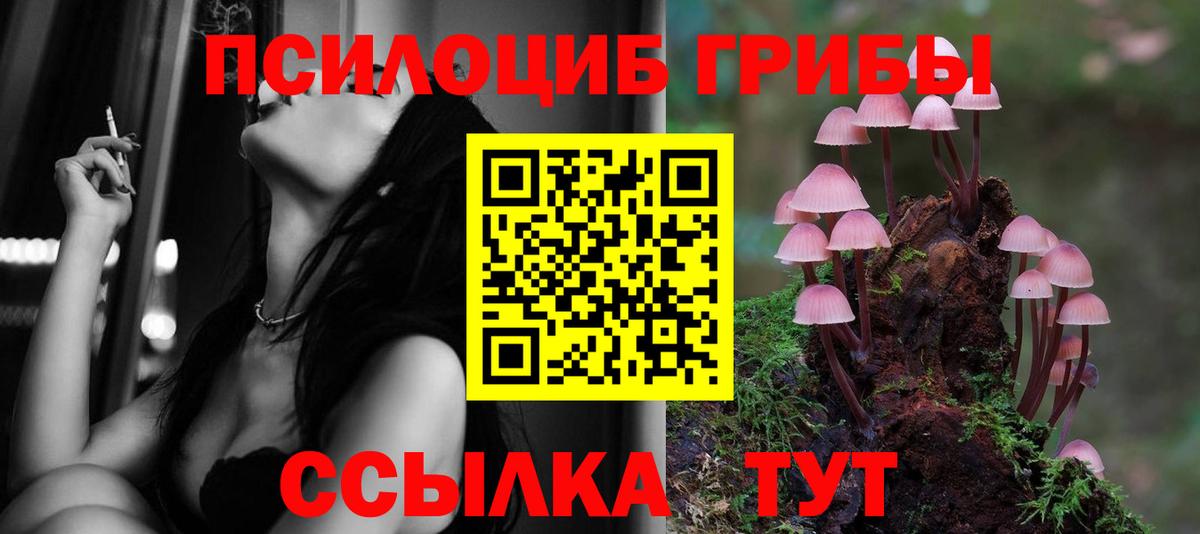 Реж  Псилоцибиновые грибы GOLDEN TEACHER  закладки  Вход с VPN 
